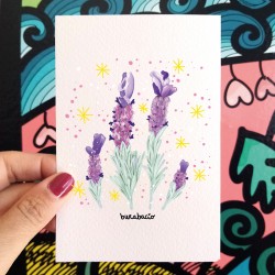 Lavanda | Biglietto