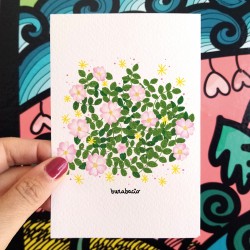 Rosa Canina | Biglietto