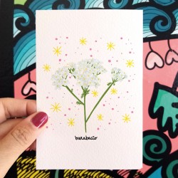 Achillea | Biglietto